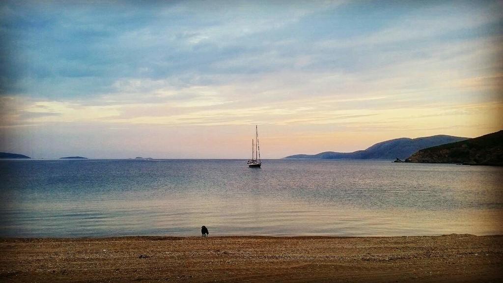 Theo's Vacation * Skyros